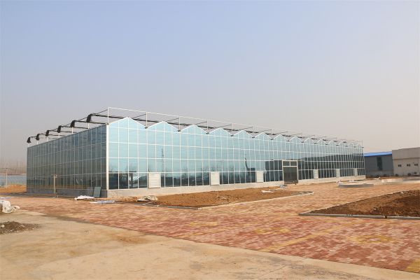 溫室大棚中光照不足有什么方法